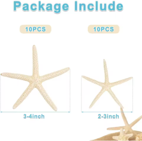 20 PCS 2-4 Inch 4-6 Inch Bulk Natural Real Starfish For DIY Crafts Wedding Beach Christmas Tree Ornaments